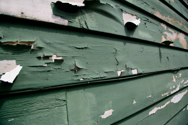 Professional Siding Installation & Repair in Brookhaven, GA
